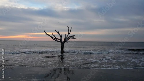 Hunting island south carolina beach scenes