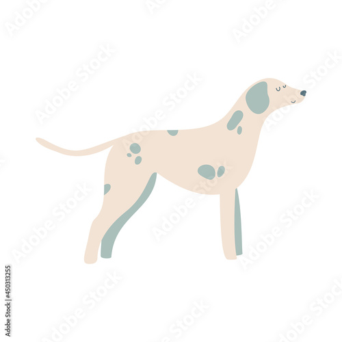 Isolated vector illustration of a Dalmatian dog
