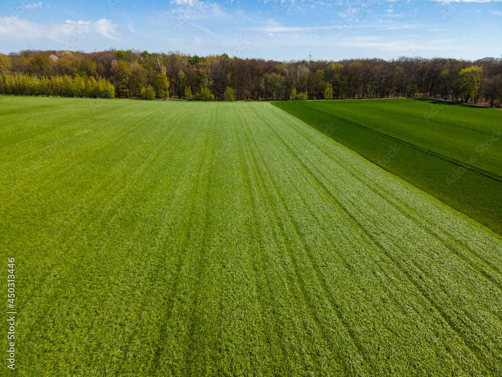 Obraz premium Agricultural fields, countryside. A shot from above. Farmers field.