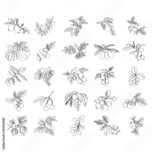 Set of abstract fruit and berry plants on a white background