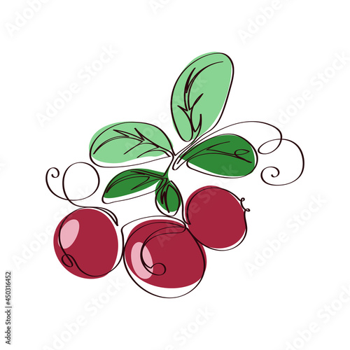 Abstract illustration of a fruit berry plant on a white background