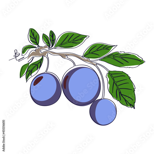 Abstract illustration of a fruit berry plant on a white background