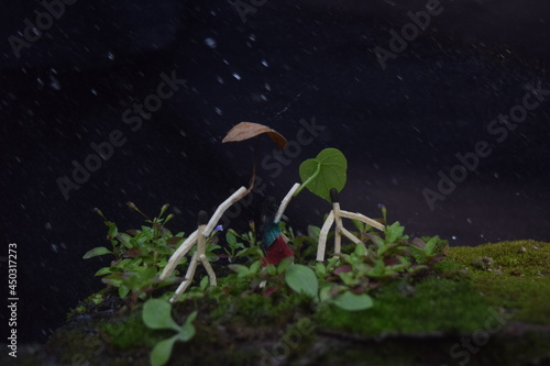 life in the garden