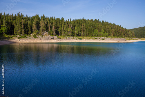 Black Lake, Crno jezero and coniferous forest in Durmitor National Park, Montenegro
