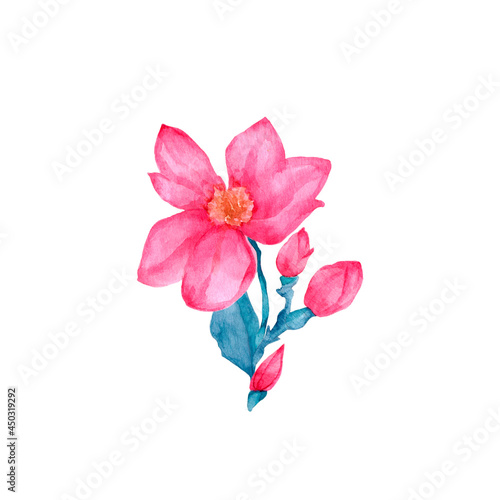 Magnolia branch isolated on white background. Hand drawn watercolor illustration for greeting cards, invitations, and other printing projects. There is space for putting your message.