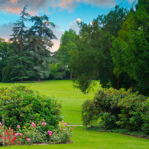 city garden with green lawns and many flowers at sunset.