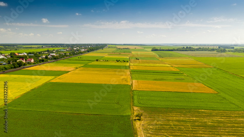 Agricultural machinery. Agrarian Wheat. Fields. Harvest 4K aerial photography.