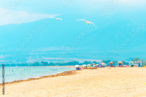 Fototapeta Naklejka Na Ścianę i Meble -  Two seagulls flying over beautiful greek beach, travel concept