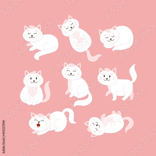 Cat set in different poses. Cute white cat character in cartoon style  vector illustration