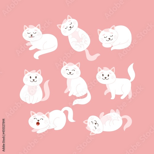 Cat set in different poses. Cute white cat character in cartoon style, vector illustration