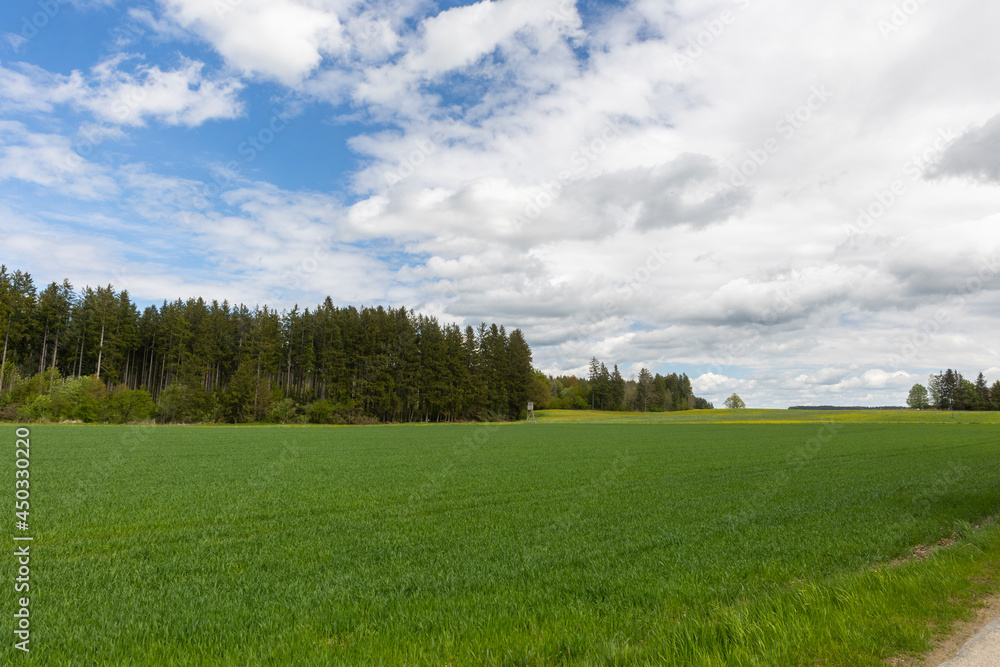 Bavarian alpine foothills landscape with green meadows forests and slightly cloudy sky. Bavarian alpine foothills landscape with green meadows forests and slightly cloudy sky.