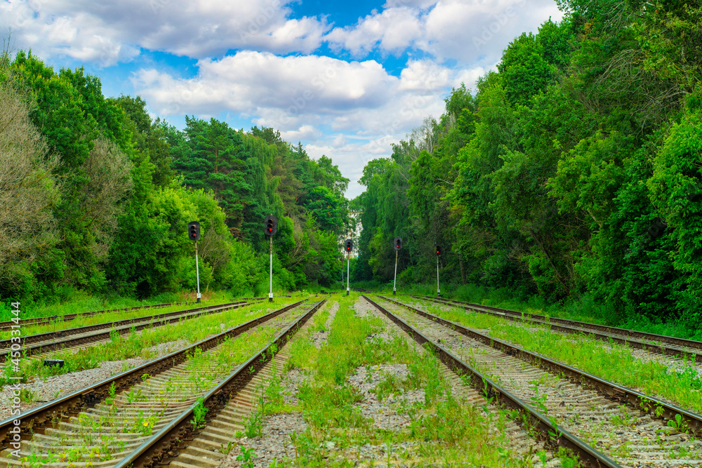 Fototapeta premium View of the empty railroad tracks in the forest between the trees. The grass grows between the rails.