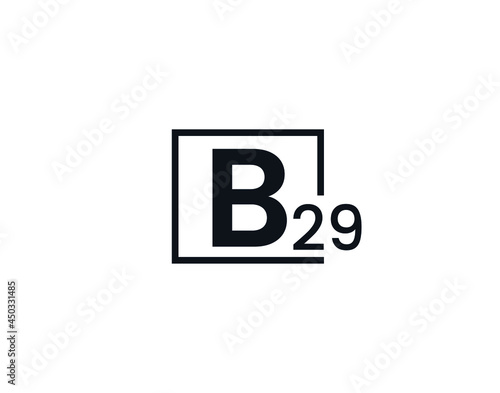 B29, 29B Initial letter logo © Rubel