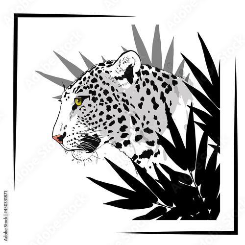 Leopard head and tropical leaves, T-shirt print. Predator, wild animal, big cat. Stock vector illustration isolated on white background.  Image for printing on any surface. tattoo, art, Portrait