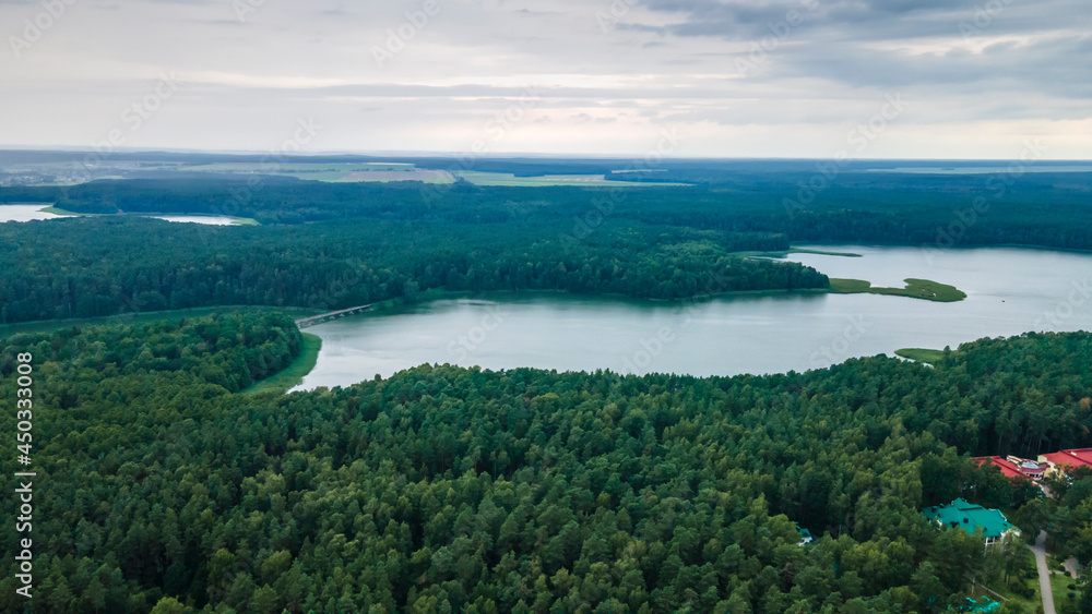 Aerial drone photo of green tree crones growing in lake shore. Nature landscape. Top view of a forest lake. Travel concept.