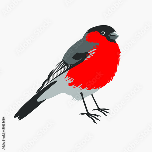 bird bullfinch arriving in winter