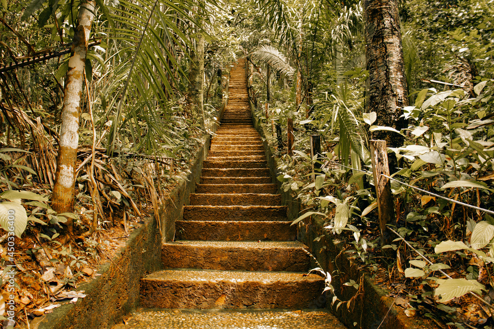 Fototapeta premium stairway to heaven
