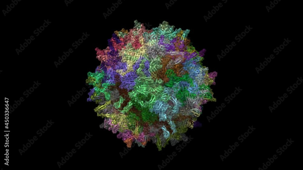 Structure of the adeno-associated virus 7 (AAV7) capsid, animated 3D ...