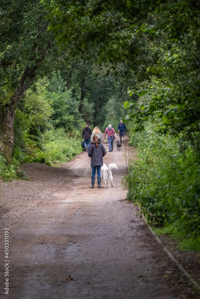 Morning walk