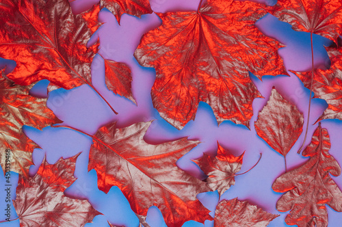Obraz na płótnie Pattern of dry orange metallic leaves on violet background