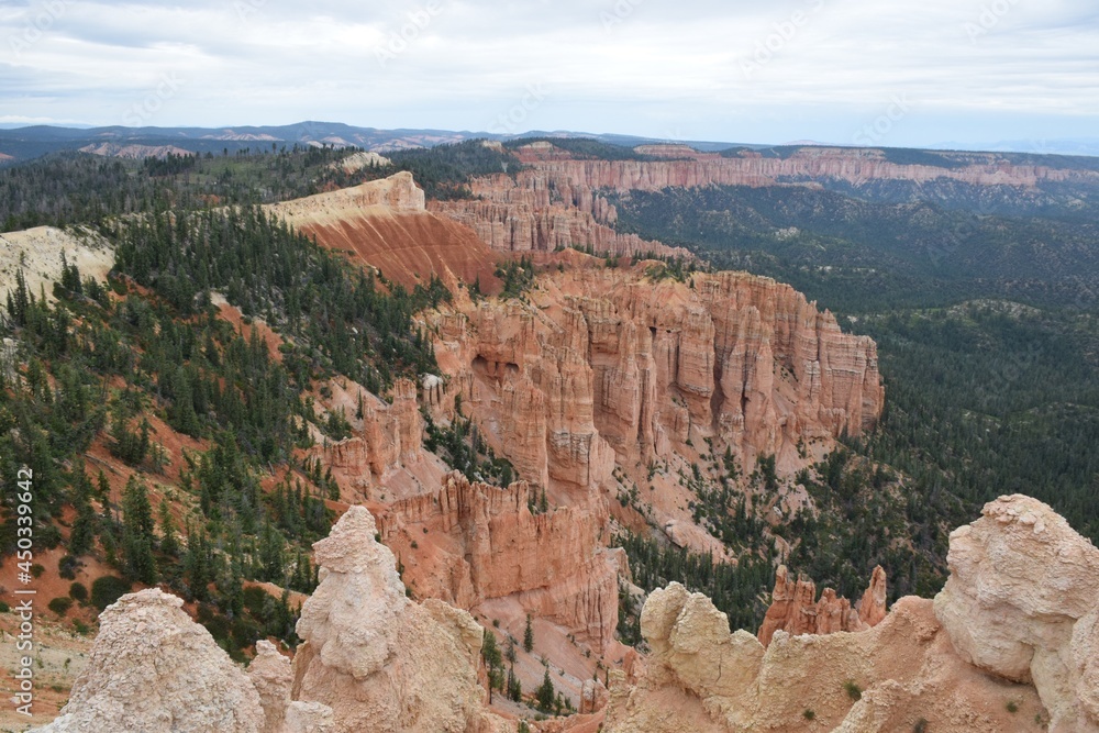 Bryce Canyon with Trees