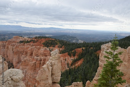 Bryce Canyon Cloudy With Trees