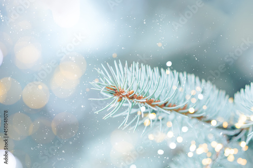Close up photo of blue Christmas tree background outdoor with lights bokeh around. Christmas atmosphere