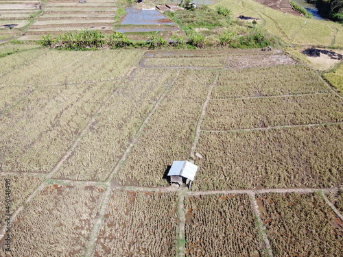 aerial panorama of after harvest agrarian rice fields landscape in the village of kendal , Central Java, like a terraced rice fields ubud Bali Indonesia photo