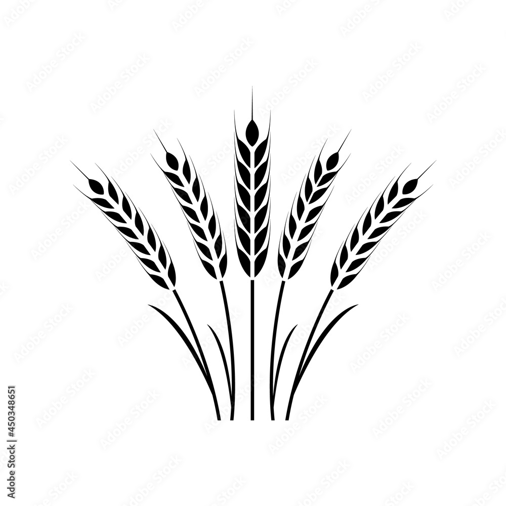 Wheat ears icon, grain logo isolated on a white background Wheat ears icon, grain logo isolated on a white background