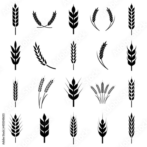 Wheat ears icon, grain logo isolated on a white background