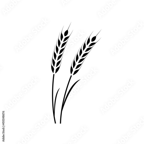 Wheat ears icon, grain logo isolated on a white background