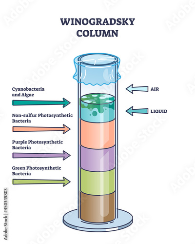 Winogradsky column device method for soil science research outline diagram. Culturing microorganisms, bacteria and algae method vector illustration. Educational perpetual layer structure description.