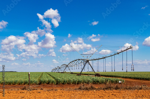 Pivô de irrigação em uma plantação.