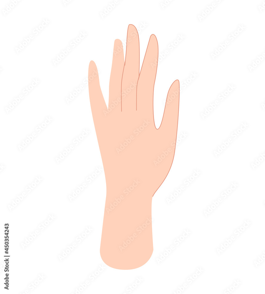 Woman's hand. Human hands, palms, body part. Vector illustration in flat style isolated on white background. Woman's hand. Human hands, palms, body part. Vector illustration in flat style isolated on white background.