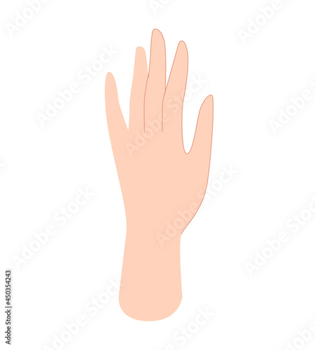 Woman's hand. Human hands, palms, body part. Vector illustration in flat style isolated on white background.