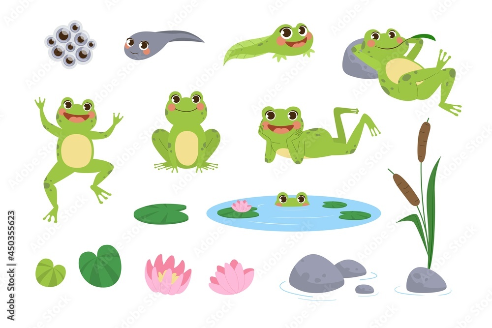 Happy cartoon frogs vector illustrations set. Drawings of cute green amphibian resting, jumping, tadpole, toad eggs, lotus flower and leaves isolated on white background. Nature, animals concept Happy cartoon frogs vector illustrations set. Drawings of cute green amphibian resting, jumping, tadpole, toad eggs, lotus flower and leaves isolated on white background. Nature, animals concept
