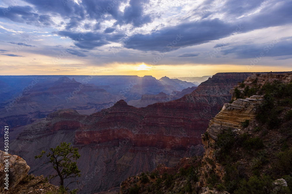 Grand Canyon Sunrise Yellow Glow