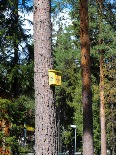 Yellow birdhouse on a tree trunk in the forest near Järvzoo, Järvsö