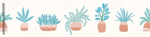 Houseplants background border pattern. Vector seamless repeat of succulent indoor plants in pots. Design resource banner illustration.