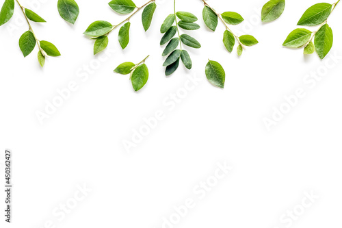 Floral leaf pattern isolated on white background, top view