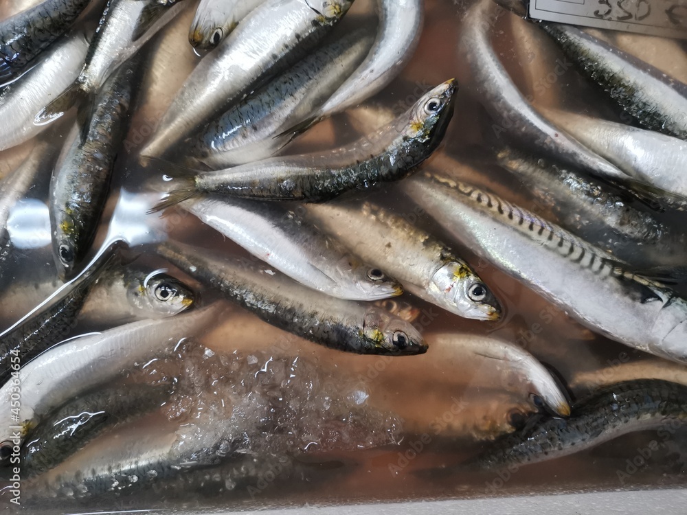 Fish from the freshly caught are almost alive Fish from the freshly caught are almost alive