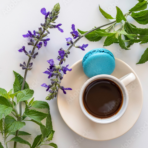 Coffee break concept with springs of aromatic herbs, French macarons, coffee cup on white background with copy space.