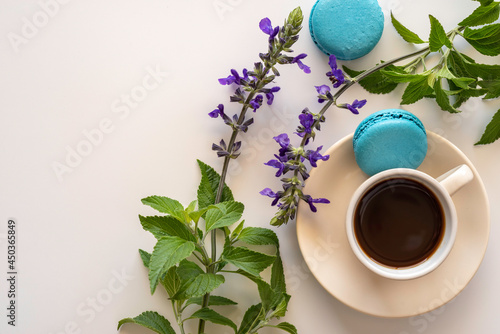 Aromatic herbs and coffee cup on white background with copy space. Coffee break concept.