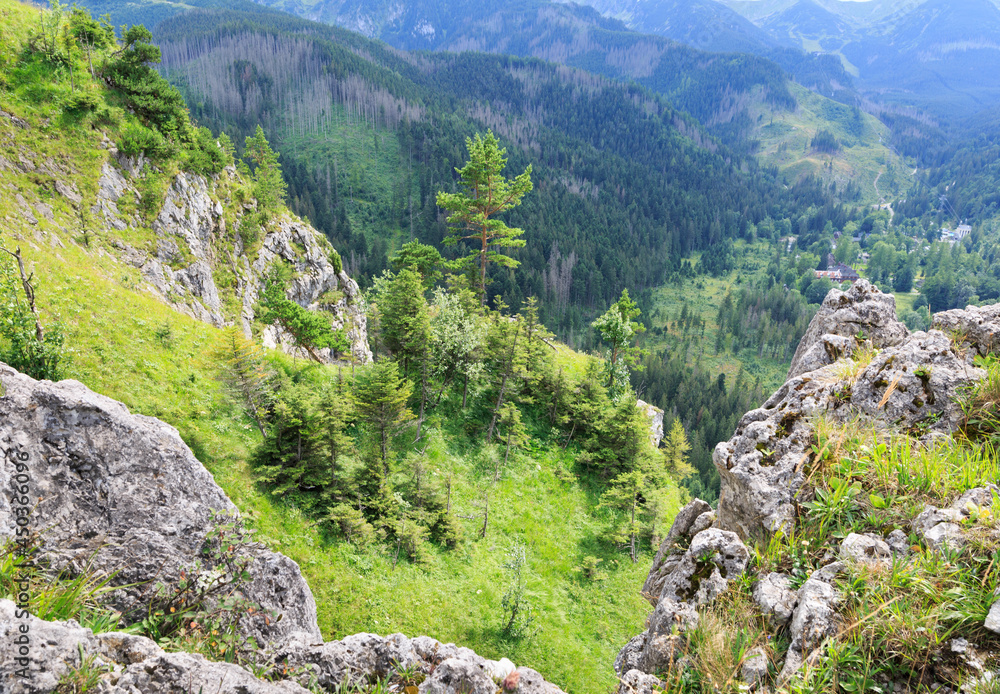 Mountain landscape in summer. View from hill Nosal in Tatra Mountains, Poland Mountain landscape in summer. View from hill Nosal in Tatra Mountains, Poland