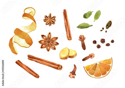 Photo Watercolor Mulled wine ingredients illustration
