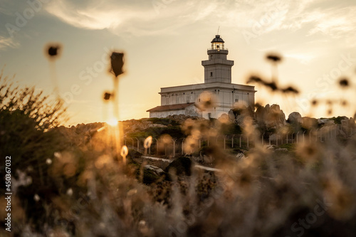 View of lighthouse and flowers in Capo Testa at sunset - Sardinia