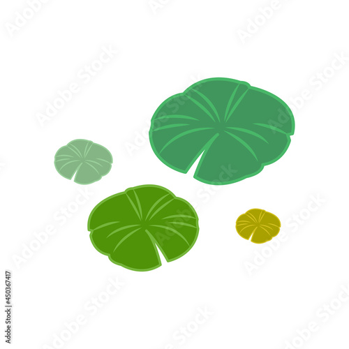 Lily pad vector. wallpaper. free space for text. copy space.