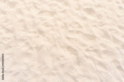 Sand texture background. Top view