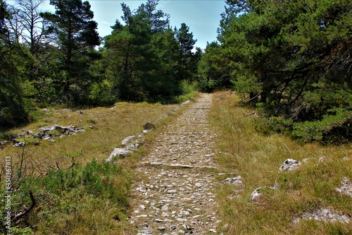 Billede på lærred voie romaine sur le plateau de Caussols