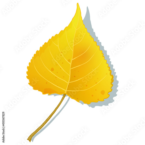 Gold aspen leaf isolated on white background. Simple cartoon flat style vector illustration.